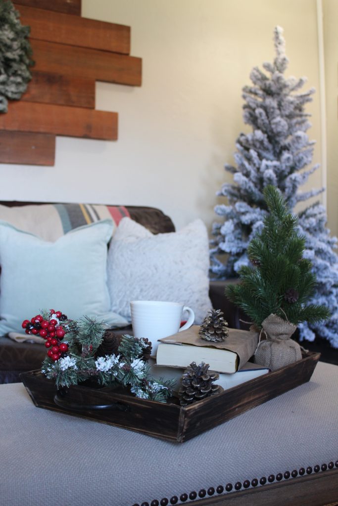 Cozy farmhouse Christmas living room via Life on Shady Lane blog