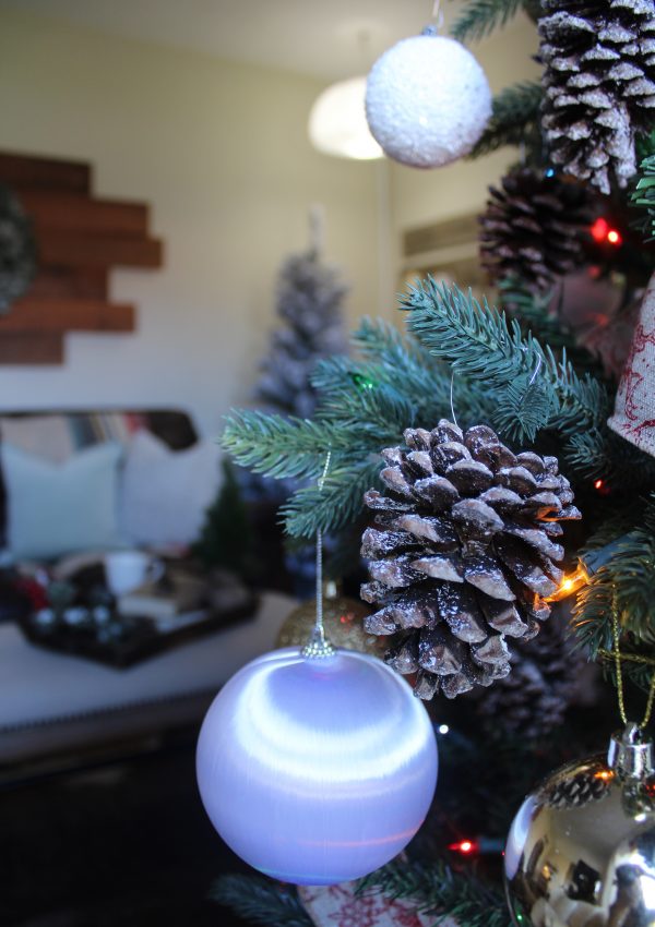 DIY Pinecone Ornaments