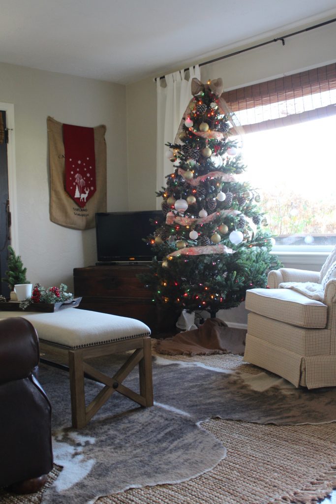 Cozy farmhouse Christmas living room via Life on Shady Lane blog