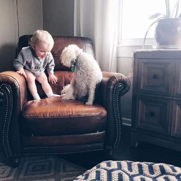 Sunday Instagram Roundup via Life on Shady Lane blog