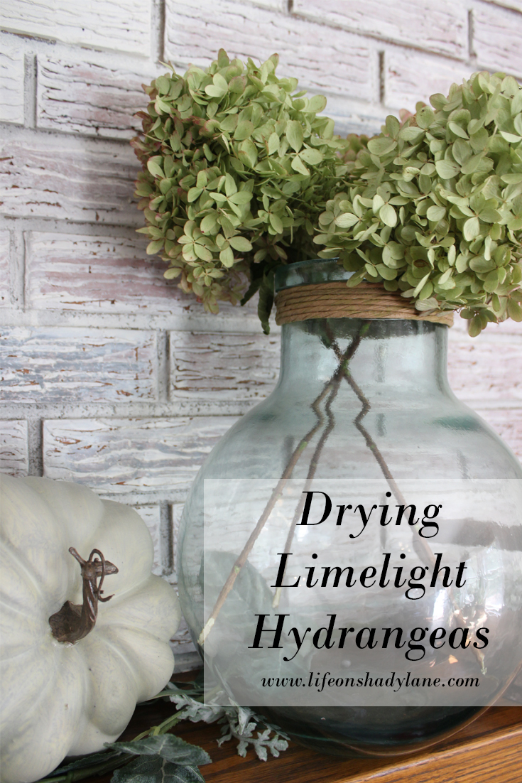 How to dry limelight hydrangeas - easy and FREE fall decor! - (Drying limelight hydrangeas)