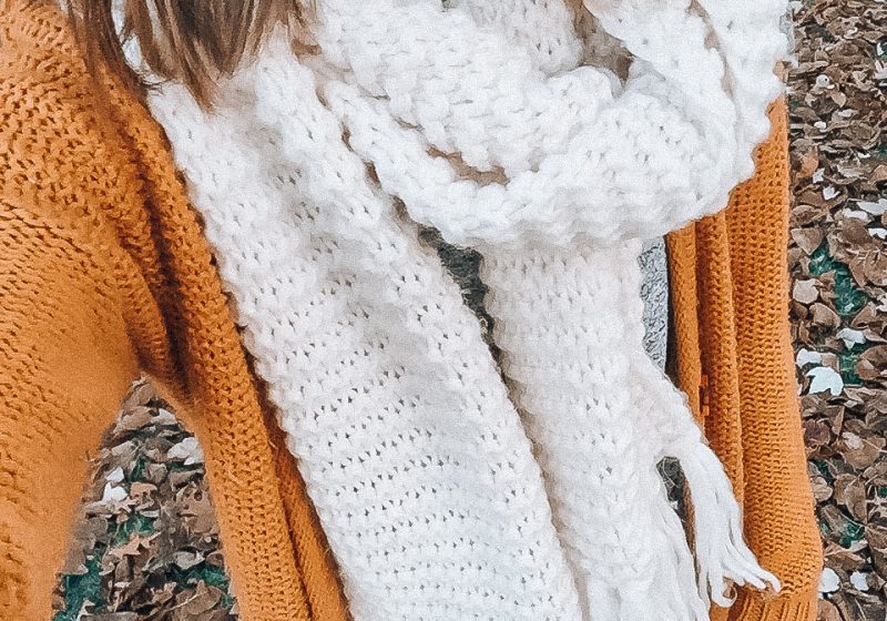 My Favorite Scarves for Fall and Winter: a roundup of the cutest and coziest! || Life on Shady Lane blog