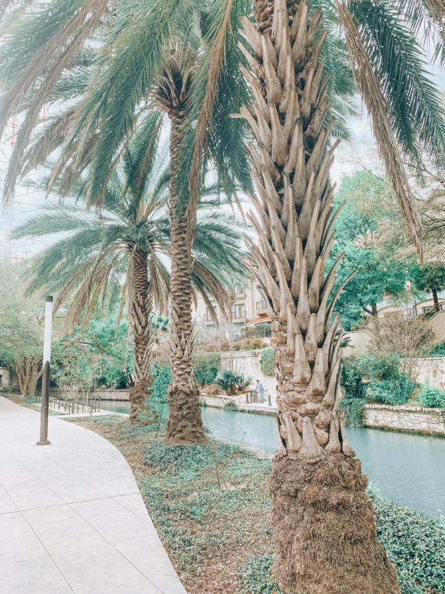 Travel guide to San Antonio, Texas (downloadable PDF!) | Where we stayed, ate, drank, and played during a spring trip to San Antonio, Texas! | Kansas City life, home, and style blogger Megan Wilson shares her travel guide to San Antonio | lifeonshadylane.com // @shadylaneblog on IG