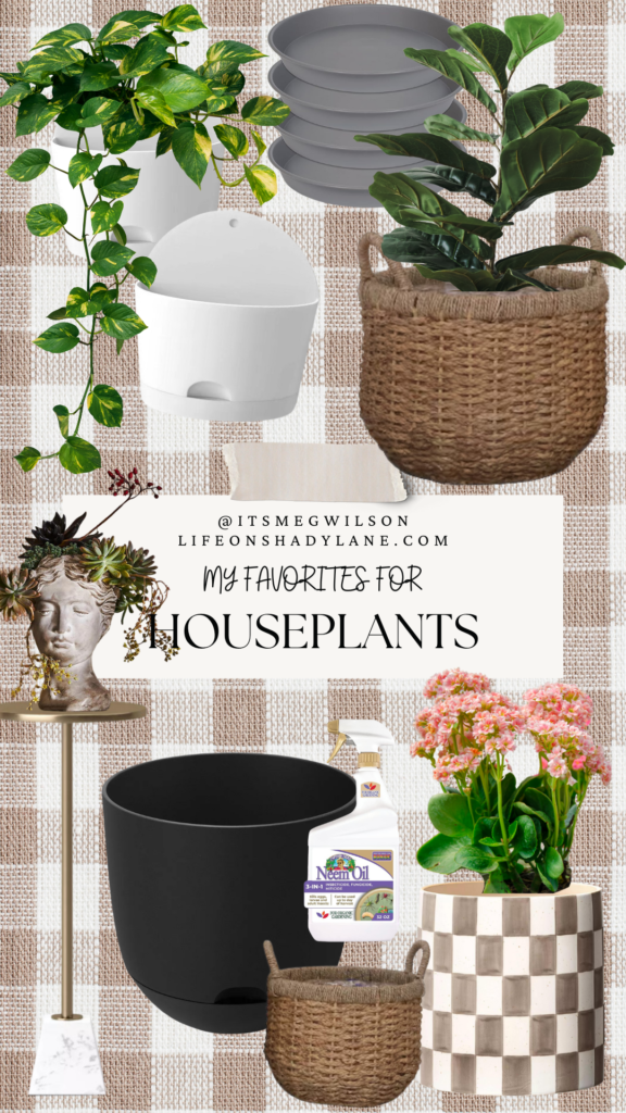 My favorite accessories for houseplants + adding plants to a primary bathroom | lifeonshadylane.com | @itsmegwilson